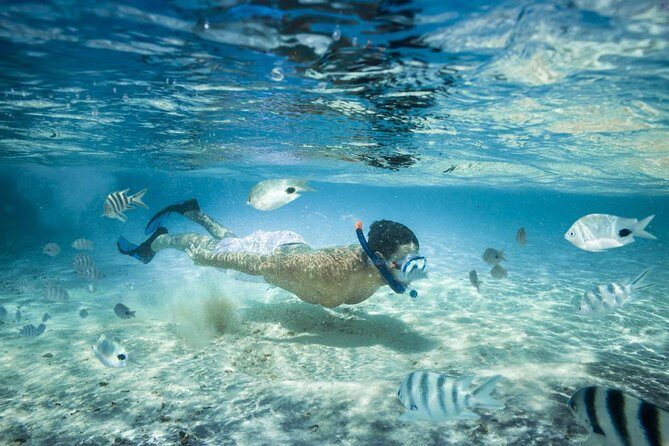 Punta Cana Booze Cruise with Snorkeling, Natural Pool & Open Bar - Key highlights that make this cruise worth it