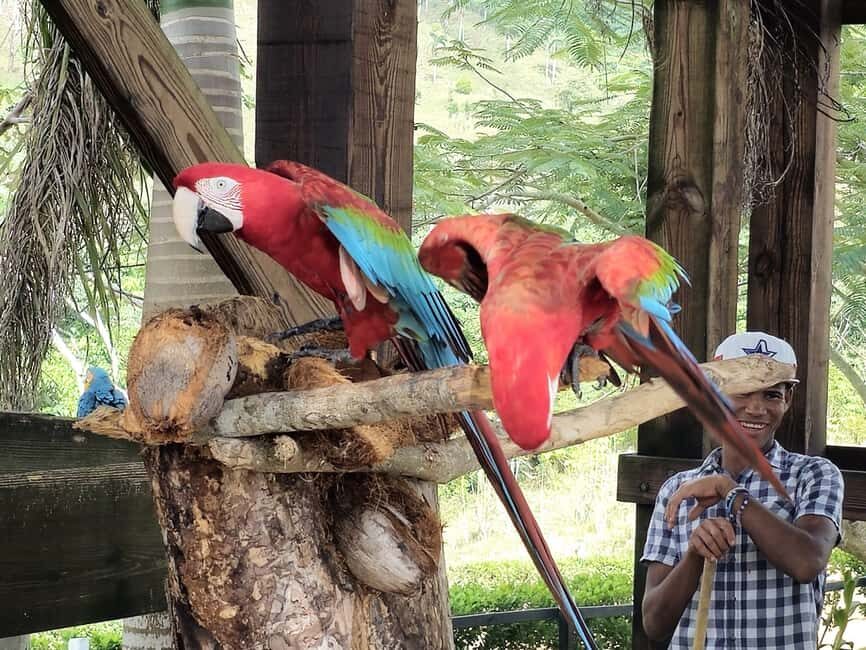 Punta Cana: Buggy and Zipline Adventure at La Hacienda - La Hacienda in Monte Plata: One ticket for a full mix of jungle fun