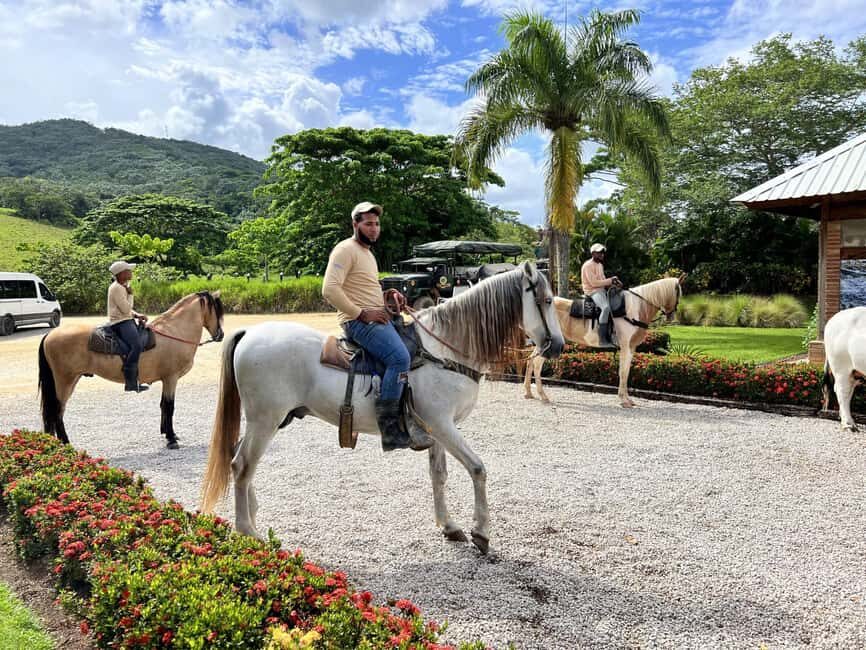 Punta Cana: Buggy and Zipline Adventure at La Hacienda - The zipline run: 2 km of speed, up to 160 meters high