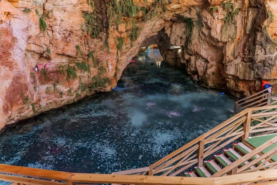 Punta Cana: Buggy Excursion with Macao Beach and Cave Swim - The traditional Dominican ranch lesson: cocoa, coffee, sugar cane, and crafts