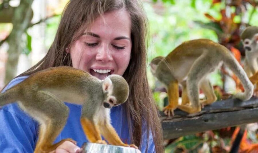 Punta Cana Buggy Tours Cenote Cave, Beach - Casa del Coco: coconut oil, fruit tastings, and coffee-cacao talk