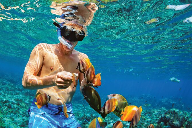 Punta Cana Catalina Island Catamaran Tour Package Deal - Punta Cana Pickup to La Romana: the sugarcane ride you should expect