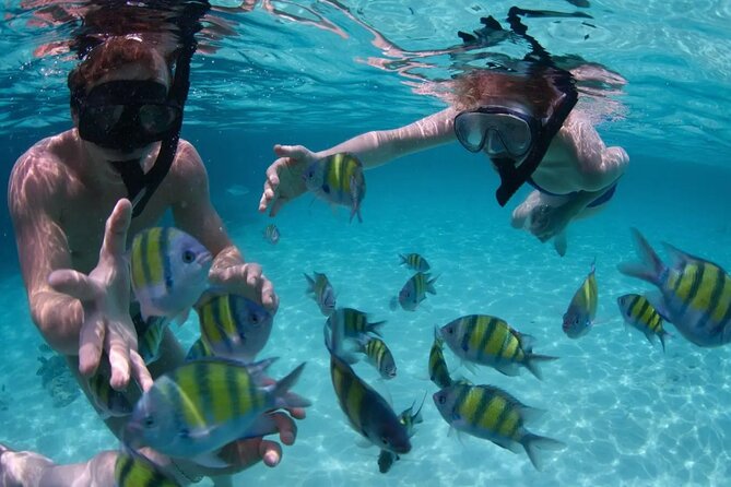 Punta Cana Catalina Island Catamaran Tour Package Deal - Who should book this tour, and who should skip it