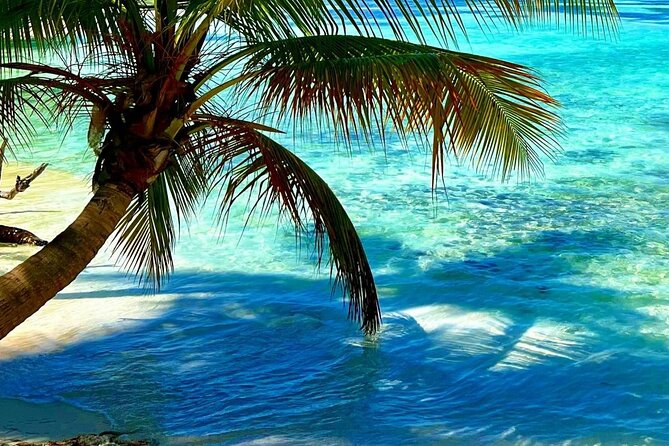 Punta Cana Catalina Island Catamaran Tour Package Deal - Should you book the Punta Cana Catalina Island catamaran tour package?