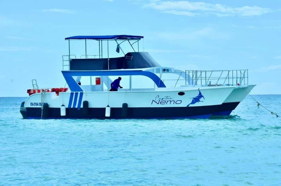 Punta Cana: Catalina Island Day Trip with Snorkeling - Snorkeling on Isla Catalina’s reef: gear included, guide guidance included, expectations in check