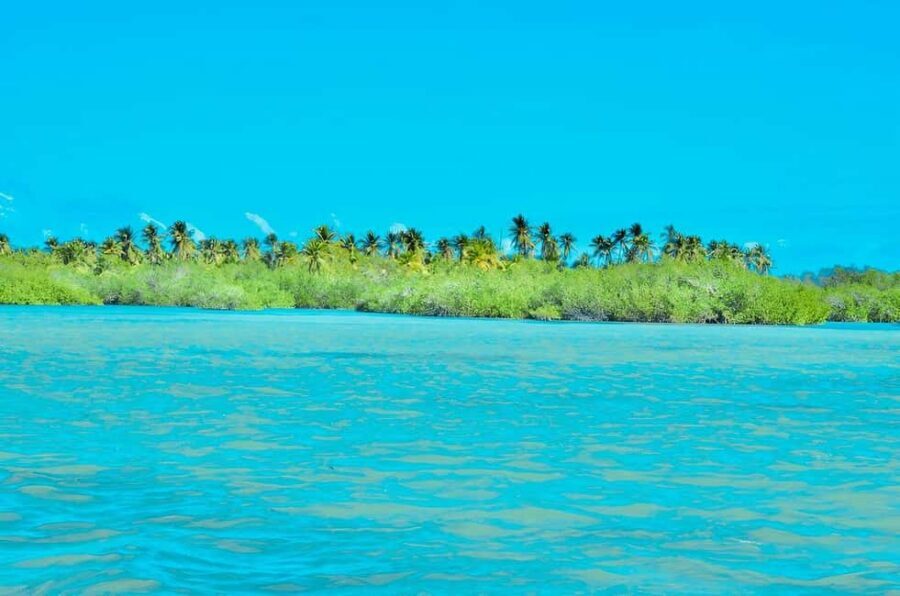 Punta Cana: Catalina Island Day Trip with Snorkeling - Practical tips to make the day smoother