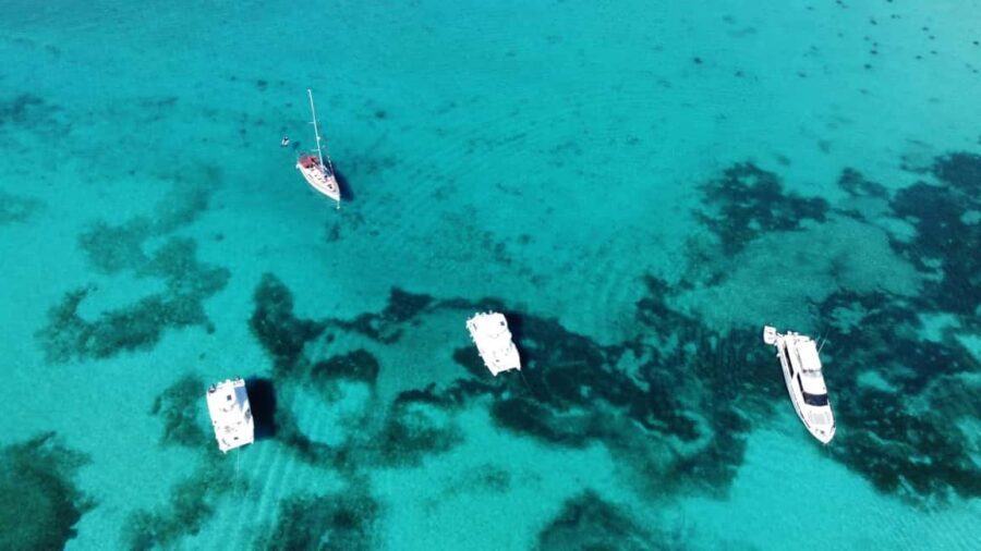 Punta Cana: Catalina Island Snorkeling and lunch Day Trip - Getting There From Punta Cana or Bayahibe: Early Pickup and the Waiting Game