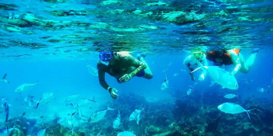 Punta Cana: Catalina Island Snorkeling Trip with Lunch - What to bring (and what to do with seasickness anxiety)