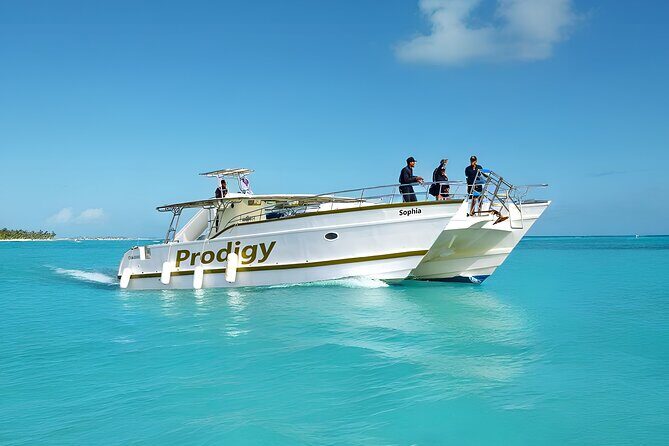Punta Cana Catamaran Private Tour with BBQ and Natural Pool - Key things to know before you go