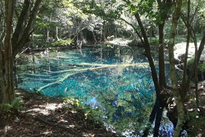 Punta Cana Cenote Hoyo Claro Hiking Tour + Juanillo Beach - If you skip the beach: BlueMall Punta Cana and real-world shopping time