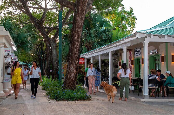 Punta Cana City Tour Explore the Heart of the City - Downtown Punta Cana and the Bávaro square stop: a quick orientation win