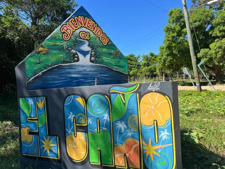 Punta Cana: Coffee Plantation, Chocolate, and Sugar Cane … - The coffee tasting moment: where the tour earns its keep