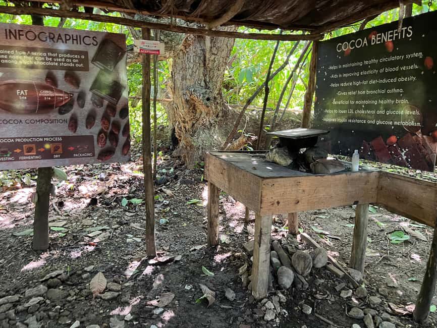 Punta Cana: Coffee Plantation, Chocolate, and Sugar Cane … - Sugar cane hut + typical house visit: rural life in real terms