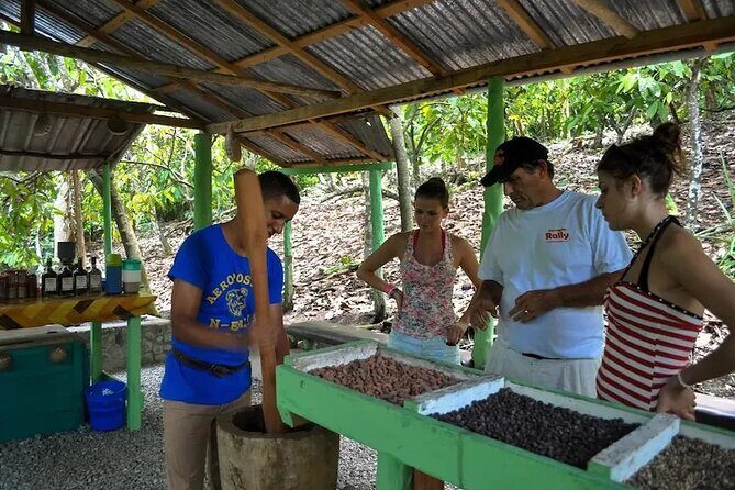 Punta Cana: Cultural half-day tours in the Dominican Republic - From Punta Cana to Higüey: the early start and the ride reality