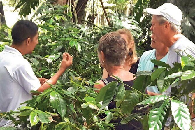 Punta Cana: Cultural half-day tours in the Dominican Republic - Lunch, sugarcane tasting, and that Dominican-food reset