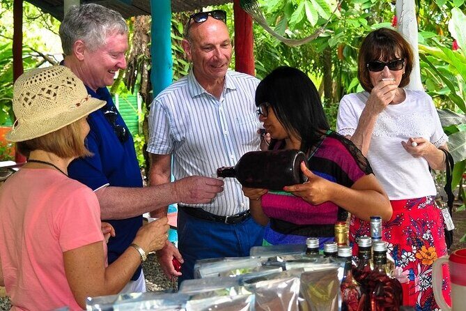 Punta Cana: Cultural half-day tours in the Dominican Republic - Coffee, cacao, tobacco, and art school: learning that doesn’t feel like school