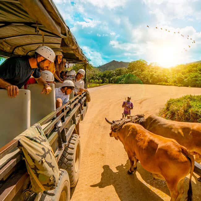Punta Cana Cultural Tour History and Traditions Small Group - Key Things You’ll Actually Notice