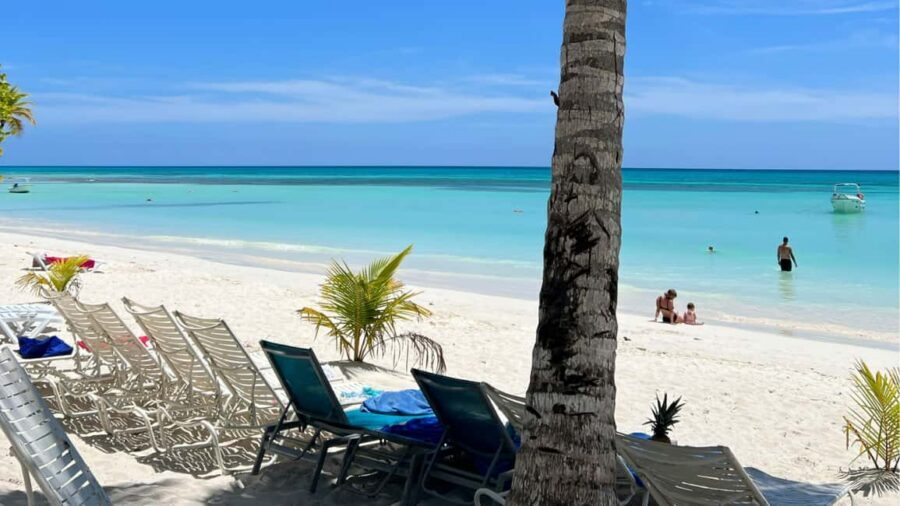 Punta Cana: Dive the Coral Paradise of Catalina Island - Key highlights at a glance