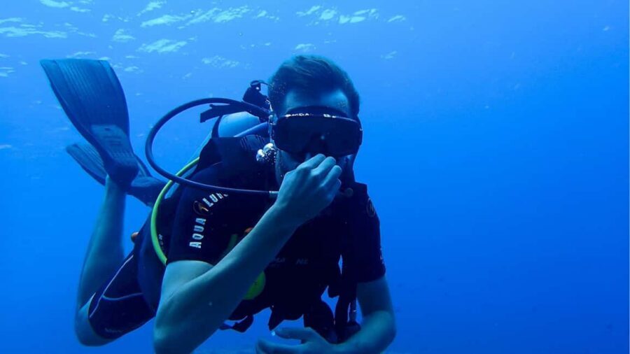 Punta Cana: Dive the Coral Paradise of Catalina Island - El Muro: the wall area, the depth limits, and how to make it work