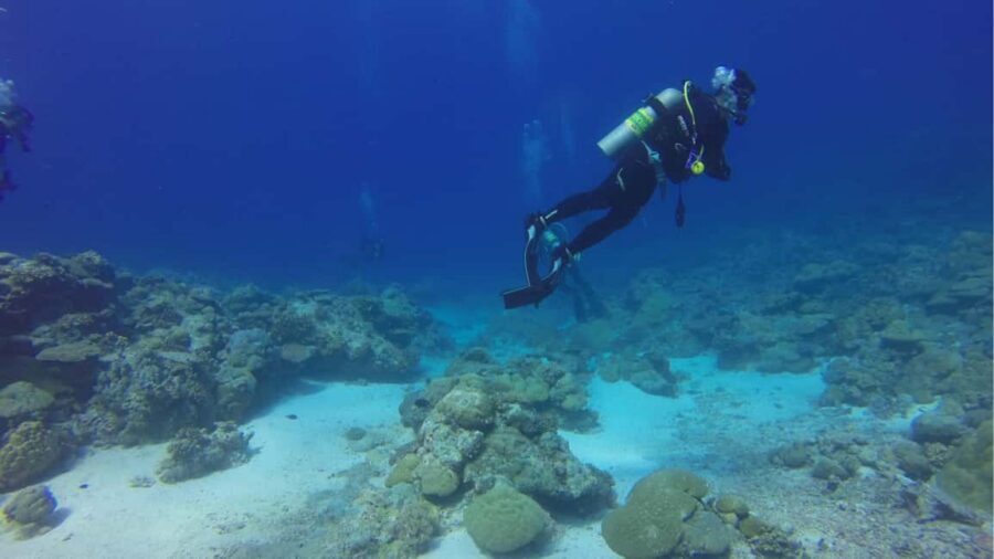Punta Cana: Dive the Coral Paradise of Catalina Island - The lunch and beach break on Catalina Island
