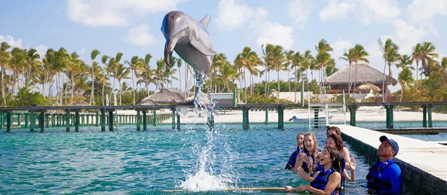 Punta Cana Dolphin Adventure: 40-Minute Interaction - Safety and comfort notes that are actually worth your attention