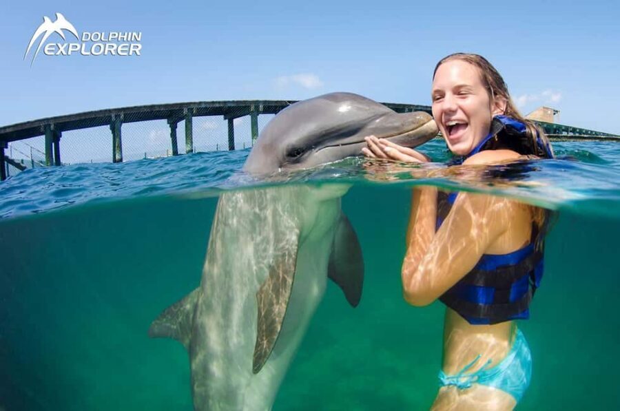 Punta Cana Dolphin Adventure: 40-Minute Interaction - The 40-minute dolphin moment that actually feels structured