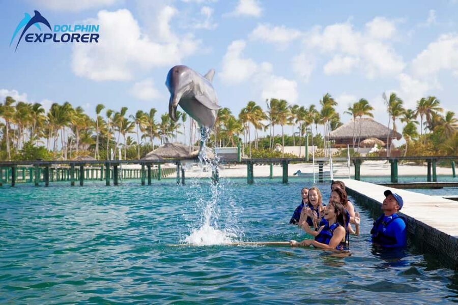 Punta Cana Dolphin Adventure: 40-Minute Interaction - Your day plan: how the 4 hours usually breaks down