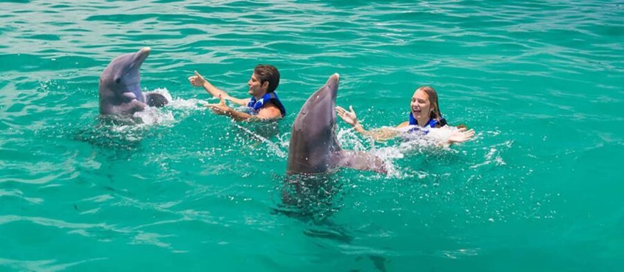 Punta Cana Dolphin Adventure: 40-Minute Interaction - Hotel pickup and drop-off in the Punta Cana areas that matter