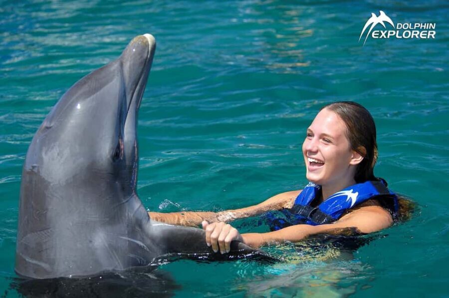 Punta Cana Dolphin Adventure: 40-Minute Interaction - Price and value: $167 per person and where extra costs may appear