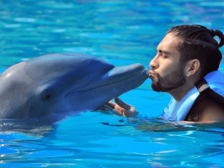 Punta Cana: Dolphin Explorer Park Entry, Swim, or Encounter - Swimming is optional: the platform option is a big deal