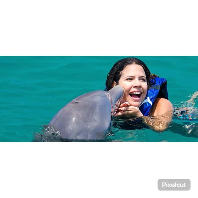 Punta Cana: Dolphin Park Entry and Swim with Dolphins - Key things I’d prioritize before you go