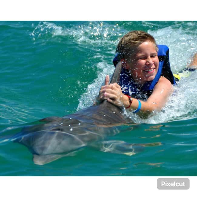 Punta Cana: Dolphin Park Entry and Swim with Dolphins - Punta Cana Dolphin Park: What You’re Actually Buying For $140