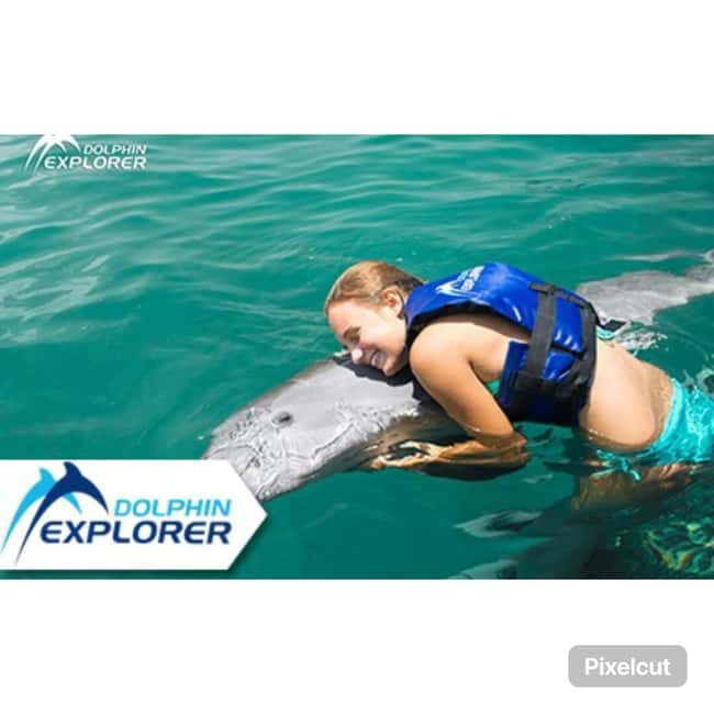 Punta Cana: Dolphin Park Entry and Swim with Dolphins - Arriving at the Dolphin Park: Orientation and Safety First