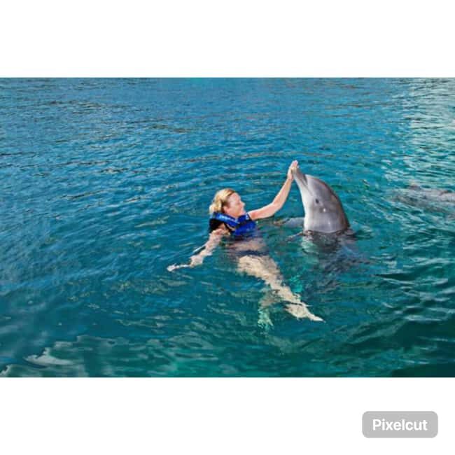 Punta Cana: Dolphin Park Entry and Swim with Dolphins - Getting Picked Up in Punta Cana Without Losing Your Spot