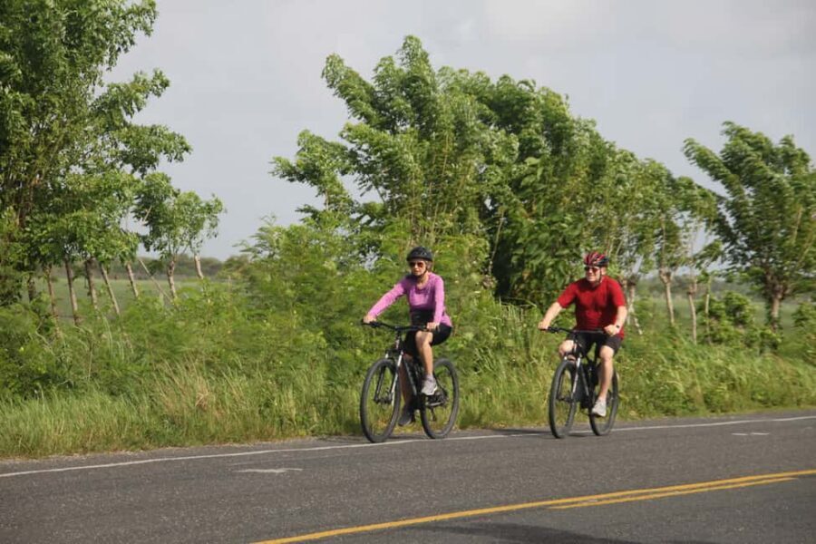 Punta Cana E-bike tour: Macao, El Salado, Ceiba, El Caño - Key things to know before you pedal