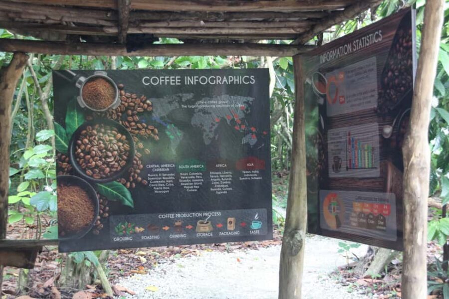 Punta Cana E-bike tour: Macao, El Salado, Ceiba, El Caño - Cycling from Macao toward El Caño: what you’ll actually ride