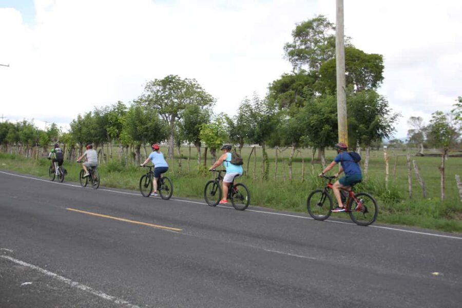 Punta Cana E-bike tour: Macao, El Salado, Ceiba, El Caño - Price and value: is $75 a fair deal?