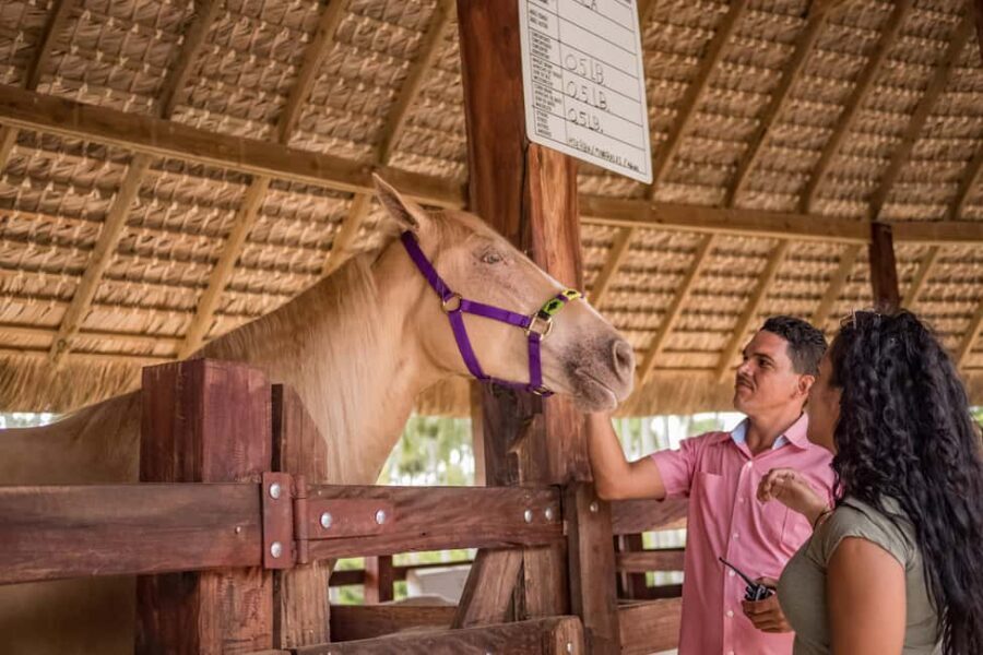 Punta Cana: Eco Park Safari Adventure - Quick reasons this tour gets high marks