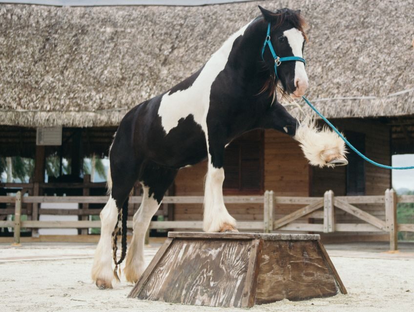 Punta Cana: Eco Park Safari Adventure - What to Bring (and What to Skip)