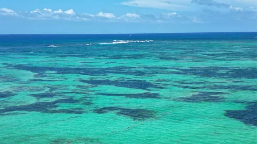 Punta Cana: Exclusive Private Catamaran Tour to Saona Island – VIP Service - Price and value: $1,590 per group up to 5