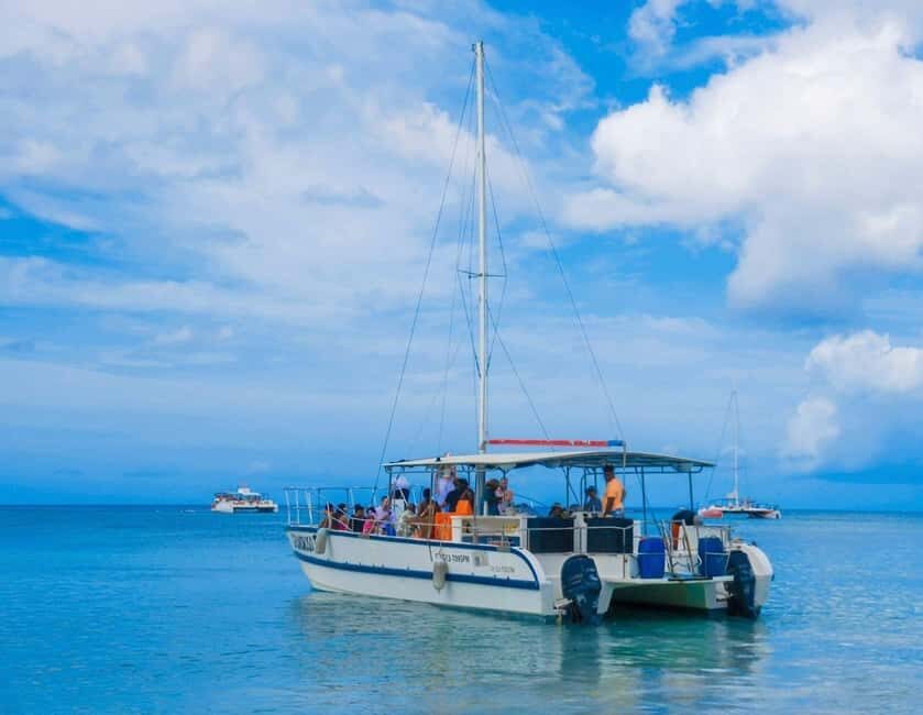 Punta Cana: Exclusive Private Catamaran Tour to Saona Island – VIP Service - Who this VIP Saona catamaran tour suits best