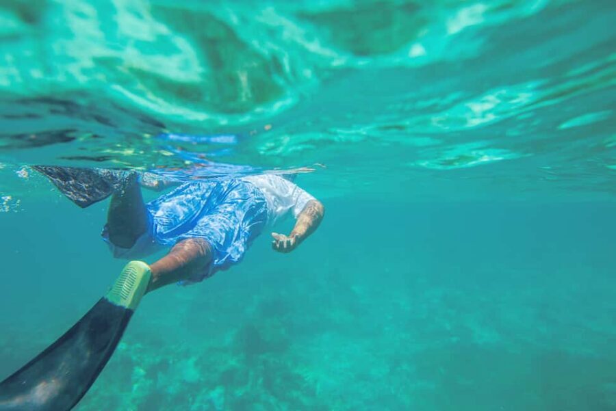 Punta Cana: Full Day Boat Trip to Catalina Island with Lunch - Key Highlights to Know Before You Go