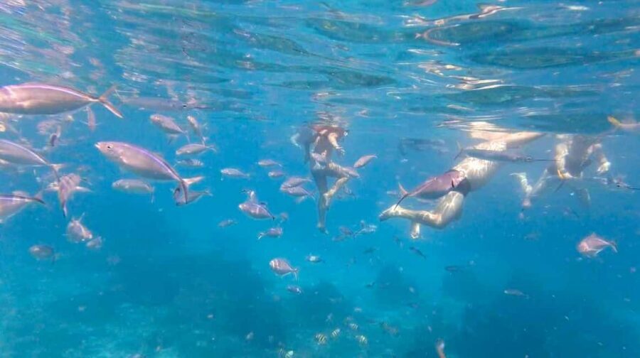 Punta Cana: Full-Day Snorkeling Tour to Catalina Island - Boarding the Paradise Catamaran: The Start of the Day