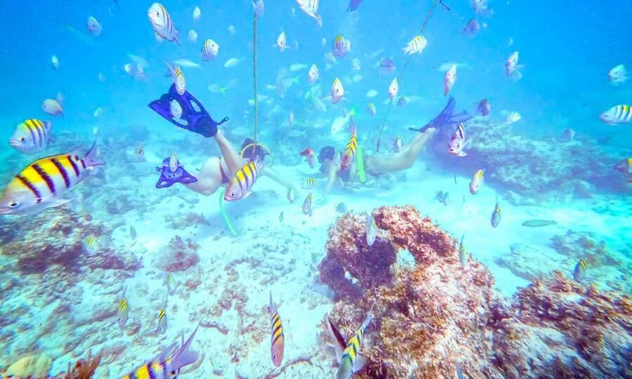 Punta Cana: Guided Power Dive Adventure - Key things to know before you go