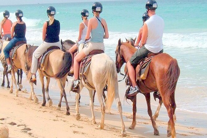 Punta Cana Horse Riding for Beaches in Field - Punta Cana Beach Horse Riding for $69: how the value stacks up