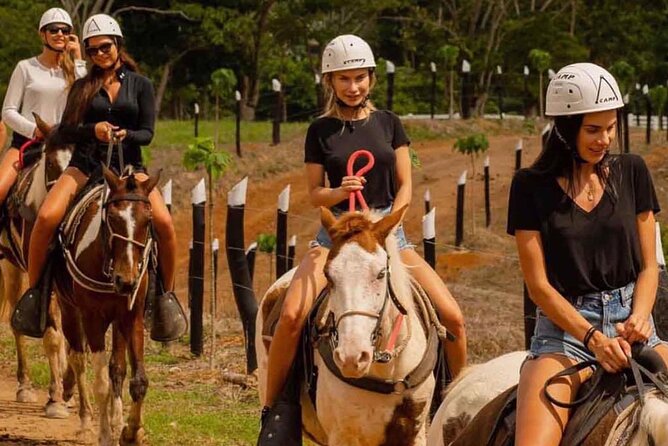 Punta Cana Horse Riding for Beaches in Field - Should you book Punta Cana Horse Riding for Beaches in Field?