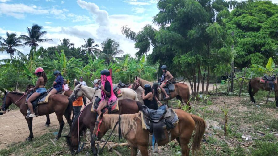 Punta Cana Horseback Ride at Macao Beach. - Key things I think are most worth your attention