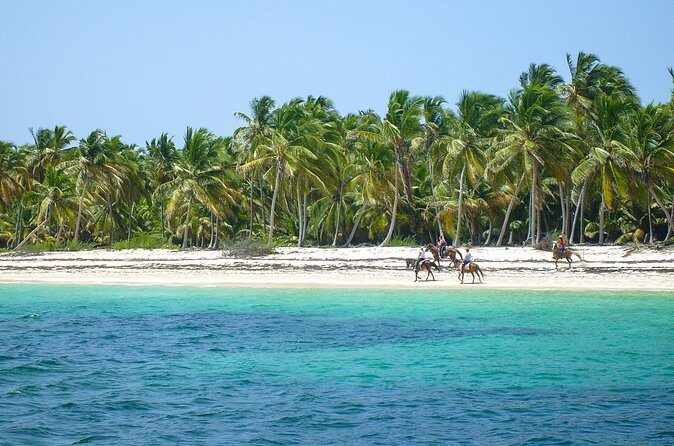 Punta Cana Horseback Riding Adventure - Price and value: why $60 can make sense here