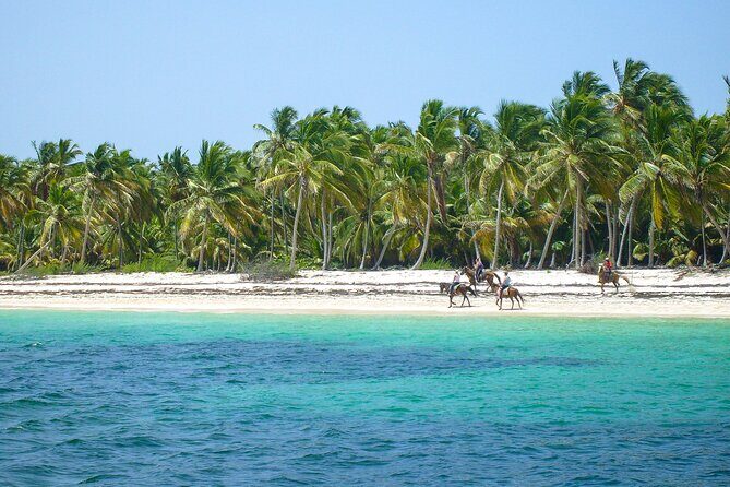Punta Cana Horseback Riding Adventure - What to bring so the ride feels comfortable