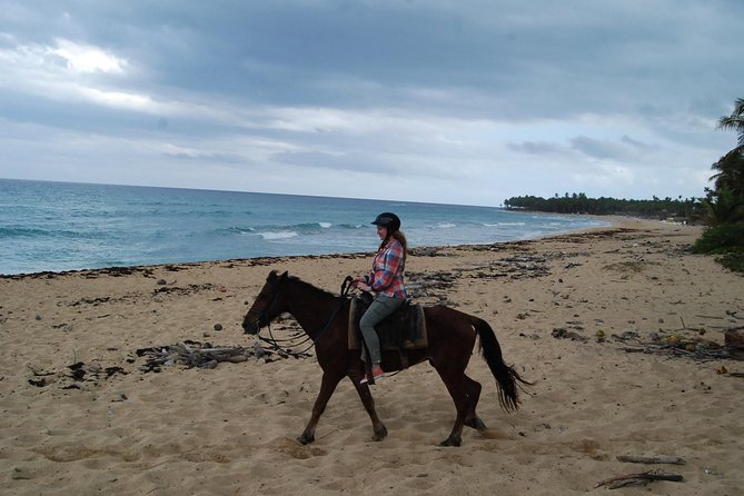 Punta Cana Horseback Riding on the Beach - Key Highlights Worth Your Time